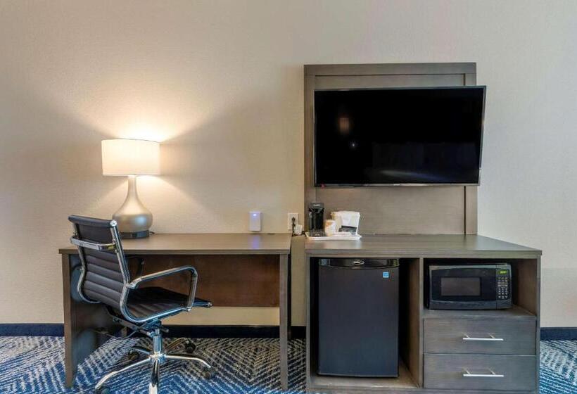 身障者適用スイートルーム, Comfort Inn & Suites Balch Springs  Se Dallas