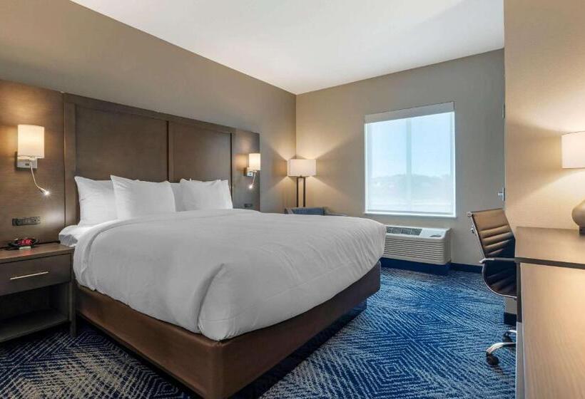 身障者適用スイートルーム, Comfort Inn & Suites Balch Springs  Se Dallas
