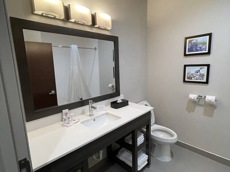２ダブルベッドのスタンダードルーム, Comfort Inn & Suites Balch Springs  Se Dallas