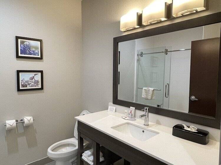 スイート, Comfort Inn & Suites Balch Springs  Se Dallas