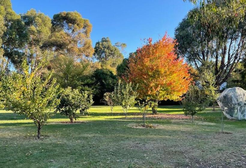 스탠다드 룸 가든 전망, Beechworth House