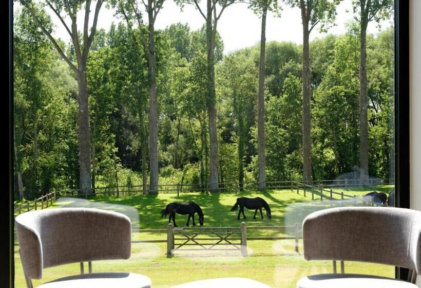Четырехместный Номер Стандарт, B & B St Hubert