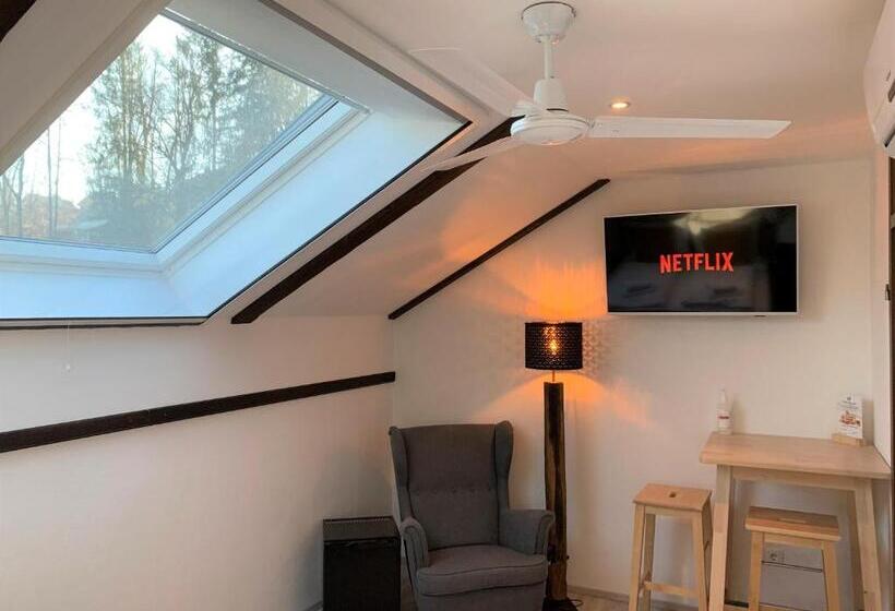 Habitación Ático, Penzion Pibernik   Adults Only