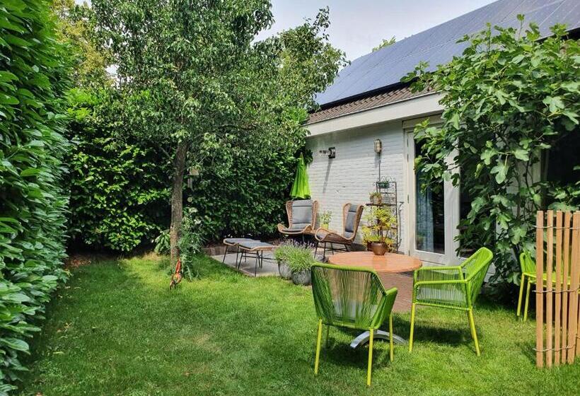 Номер Стандарт с Террасой, Bed And Breakfast En Studio Het Atelier