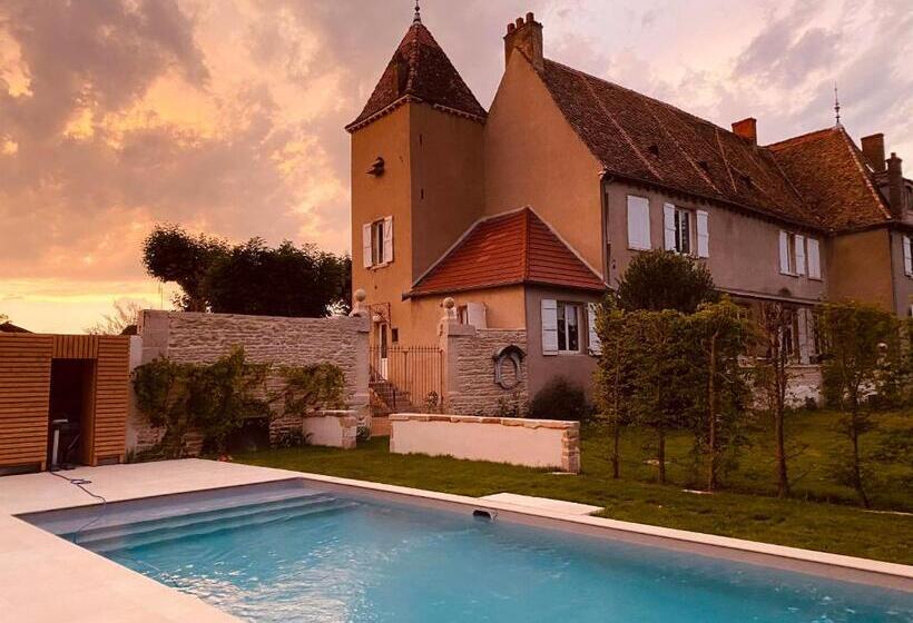 Номер Стандарт, Château De Chatenay   Macon