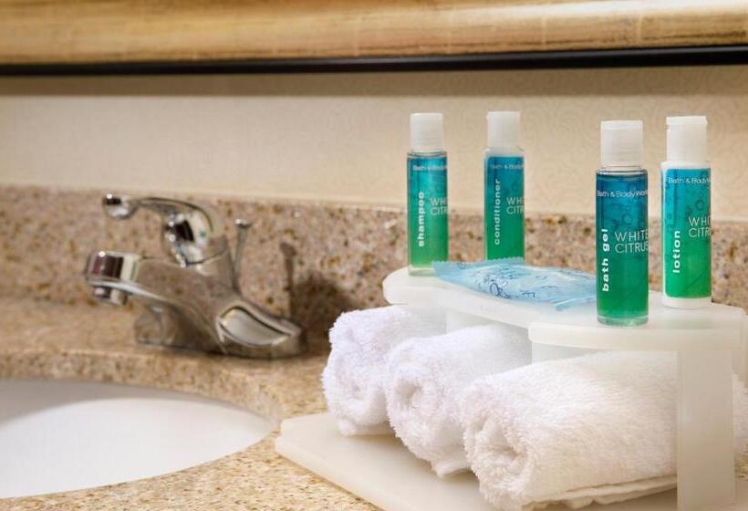 套房, Holiday Inn Express & Suites San Antonio West Sea World Area, An Ihg