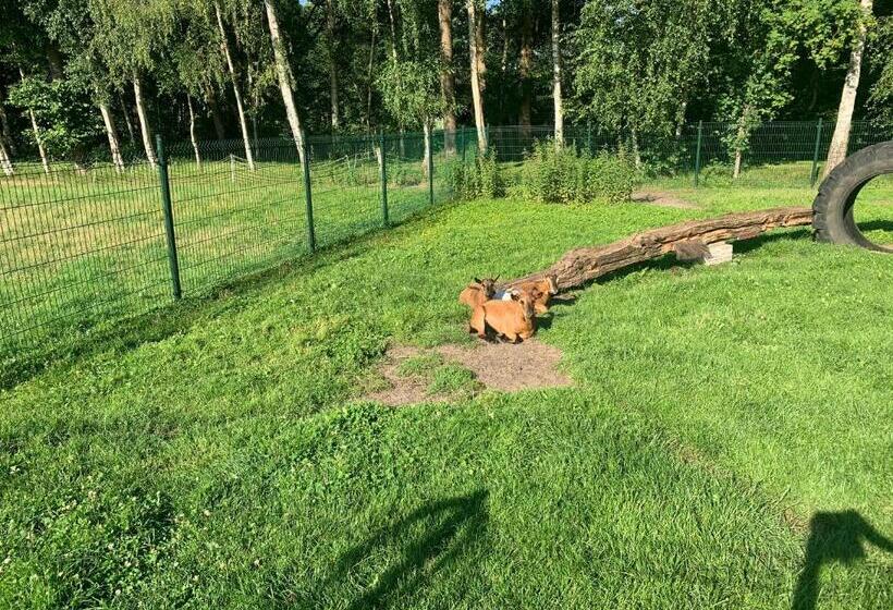 Дом 4 Спальни, De Boerderij   Buitenplaats Ruitenveen, Privé