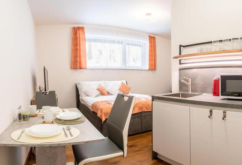 استودیو استاندارد با تخت کینگ, Apartmány Resort Vrchlabí