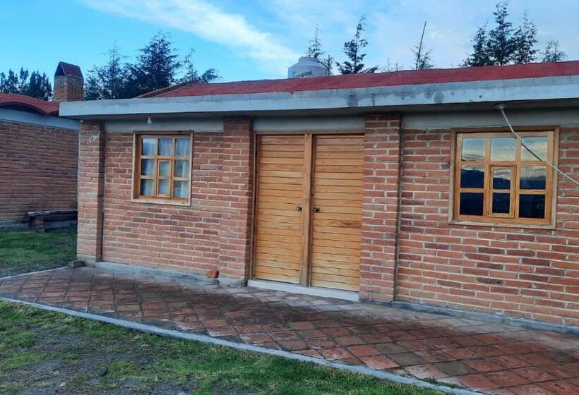 １ベッドルームハウス, Cabañas Tlaxco La Loma
