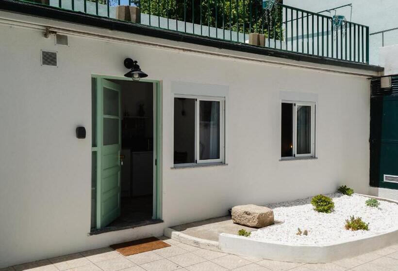 Студия Стандарт, Genius Loci Guesthouse