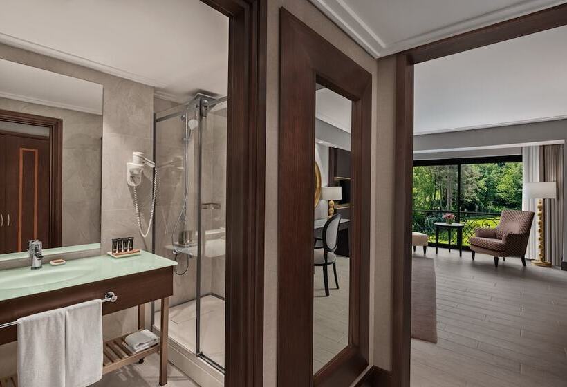 Номер Deluxe, Ng Sapanca Wellness & Convention