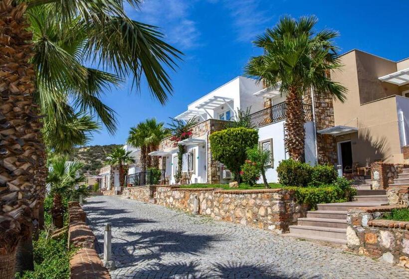 Номер Superior, Tui Magic Life Bodrum   Adults Only