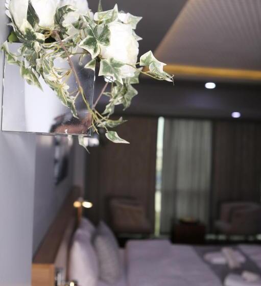 Люкс Повышенной Комфортности, Lily Airport Otel