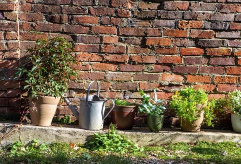 آپارتمان 1 خوابه با چشم‌انداز باغ, Bridport Garden Suite