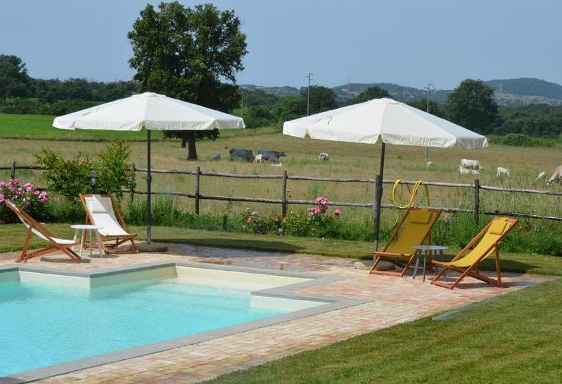 Студио Стандарт Вид на Бассейн, Agriturismo La Ghiga
