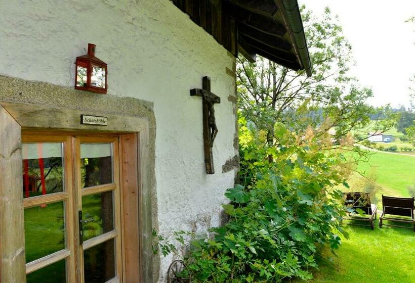 Студио Стандарт с Террасой, Hofatelier Menacher