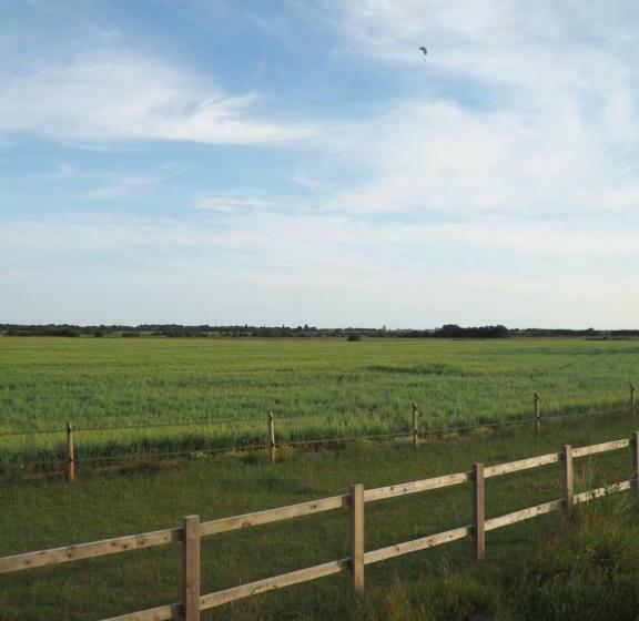 Номер Стандарт, Barnham Court Farm