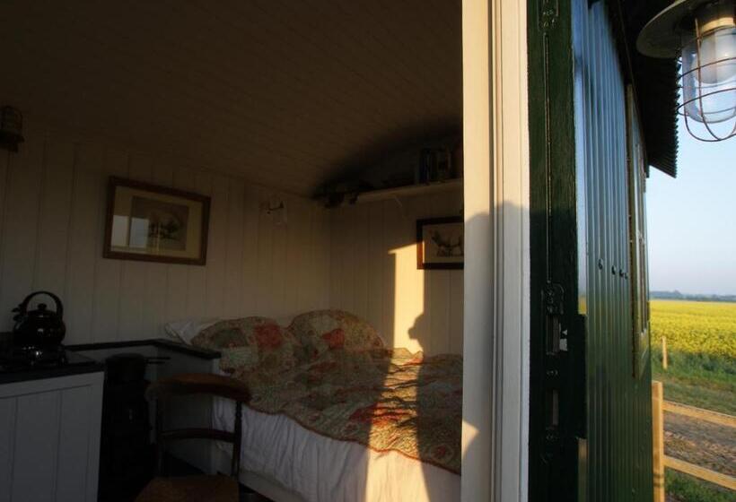 スタンダードルーム, Barnham Court Farm