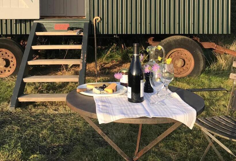 Номер Стандарт, Barnham Court Farm
