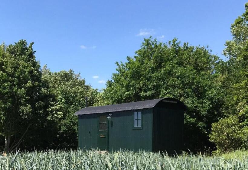 Номер Deluxe, Barnham Court Farm