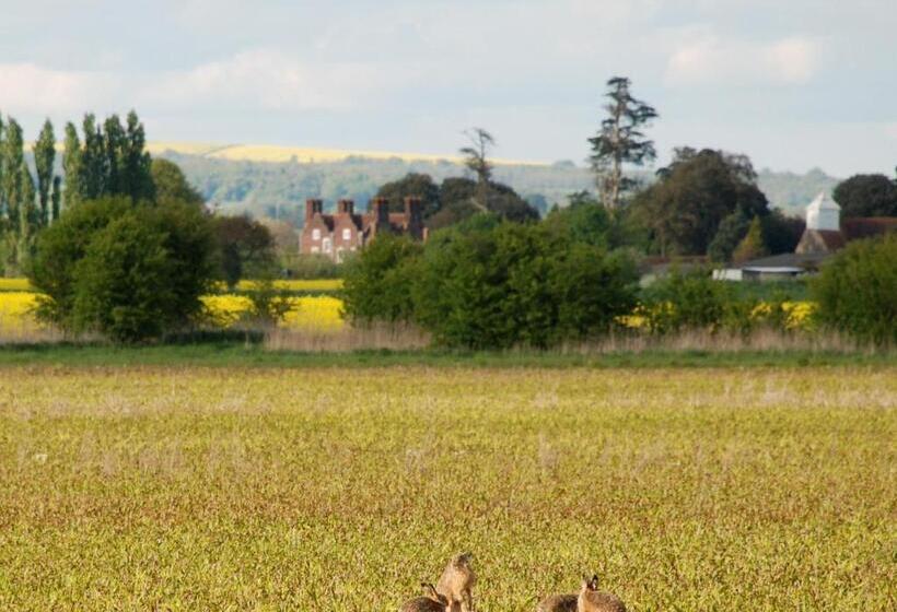 Дом 1 Спальня, Barnham Court Farm