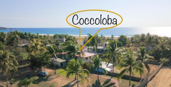 标准间带游泳池, Coccoloba Guest House
