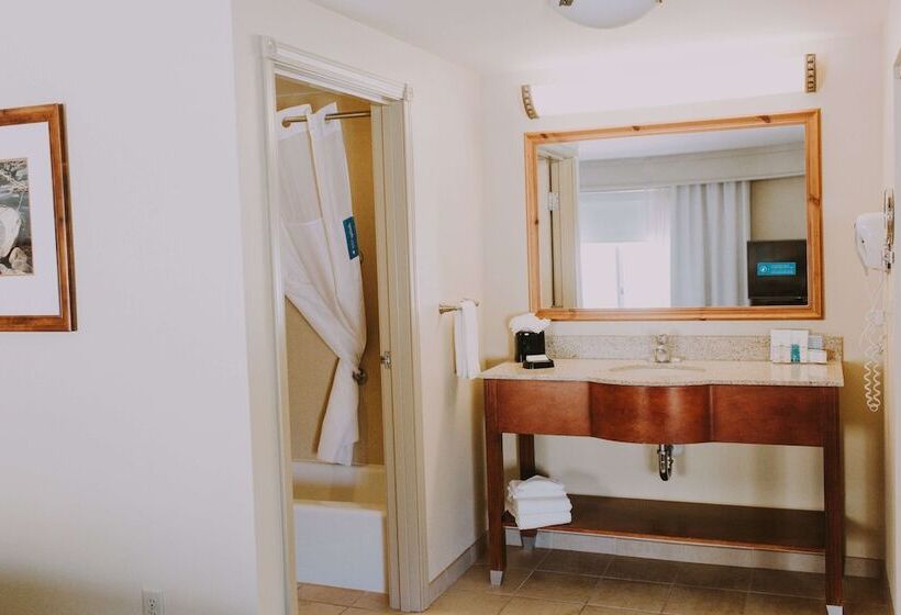 Студия Стандарт, Hampton Inn & Suites Green River