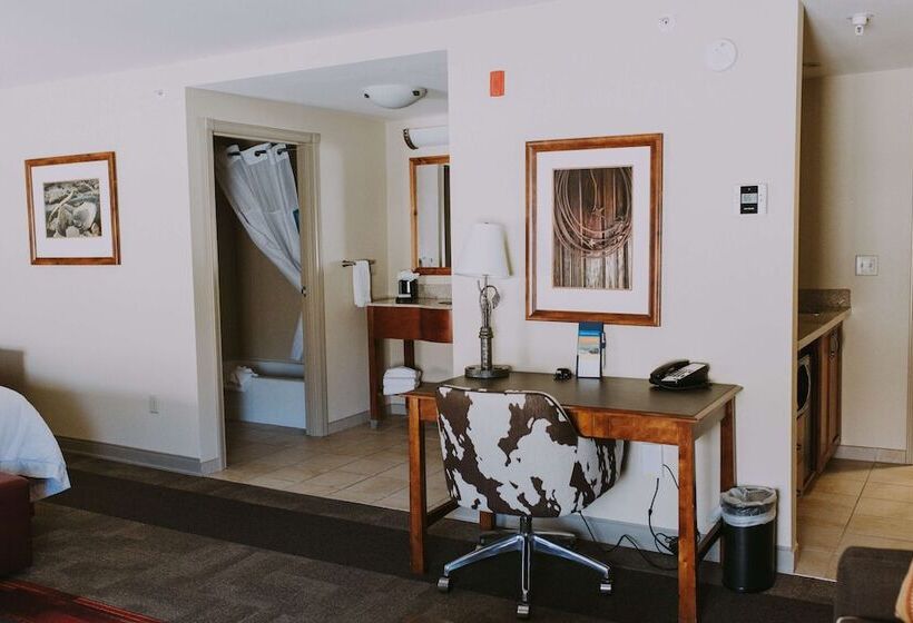 Студия Стандарт, Hampton Inn & Suites Green River