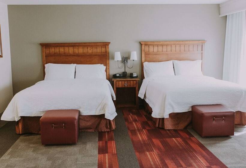 Студия Стандарт, Hampton Inn & Suites Green River