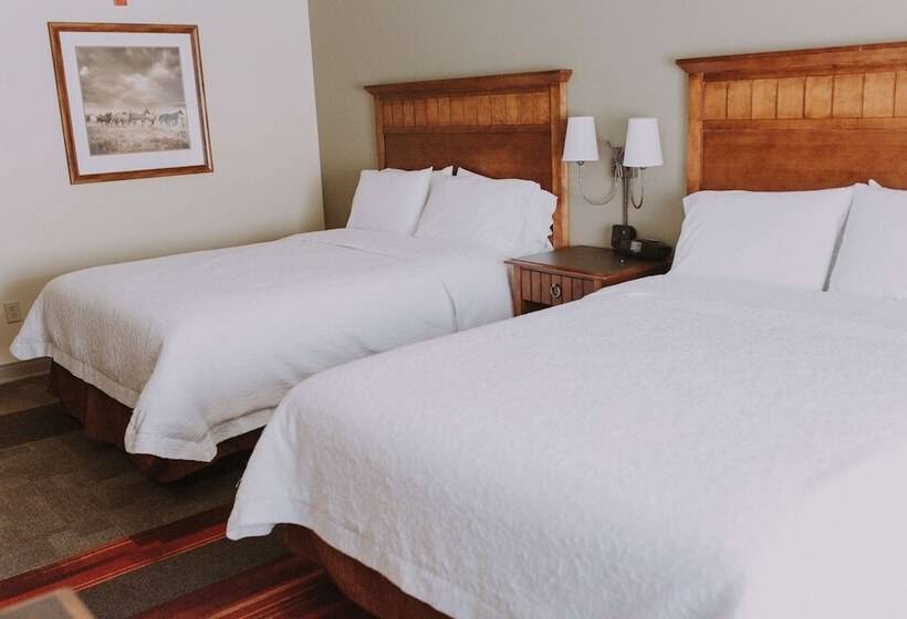 Номер Стандарт, Hampton Inn & Suites Green River