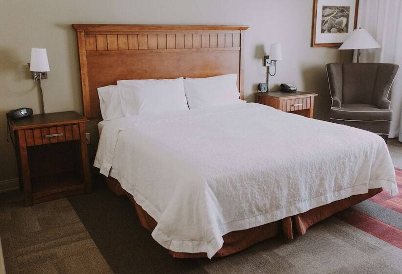 Номер Стандарт, Hampton Inn & Suites Green River