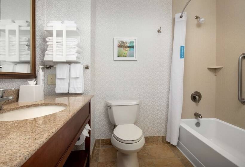 Номер Стандарт, Hampton Inn & Suites Holly Springs