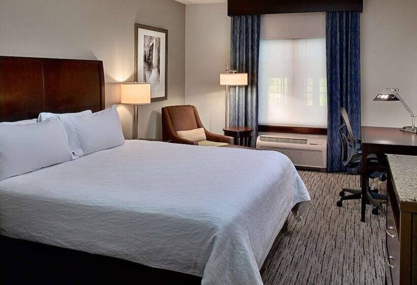 Pokój Jednoosobowy Standard Łóżko King Size, Hilton Garden Inn Gatlinburg
