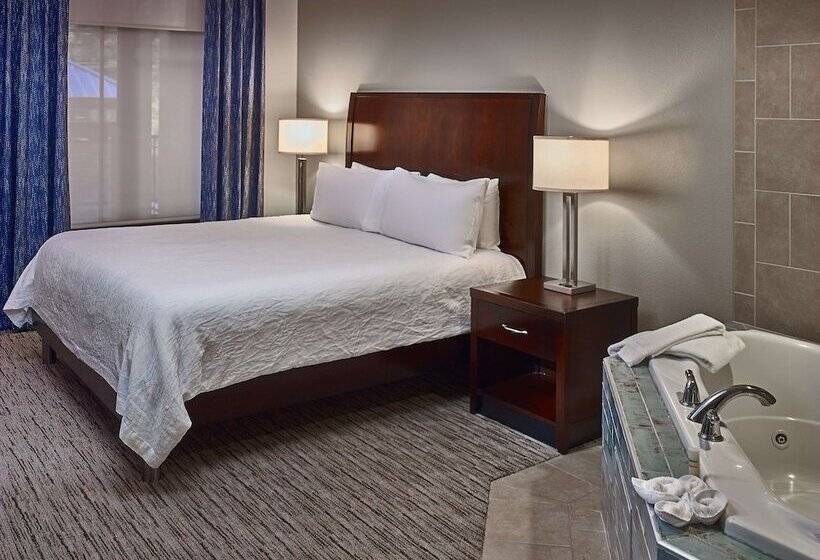 Pokój Jednoosobowy Standard Łóżko King Size, Hilton Garden Inn Gatlinburg