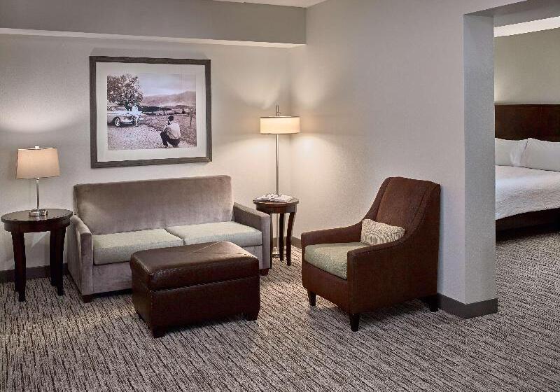 جناح جونيور سرير ملكى, Hilton Garden Inn Gatlinburg