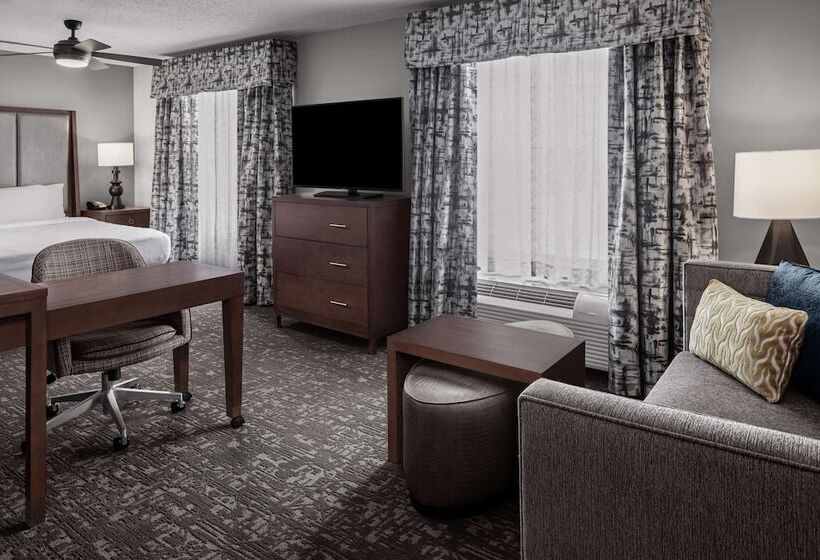 带双人床的标准工作室, Homewood Suites By Hilton Orland Park