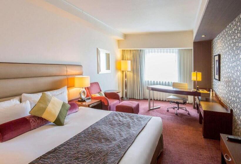 스탠다드 룸 킹사이즈 침대, Ibis Styles Sapporo