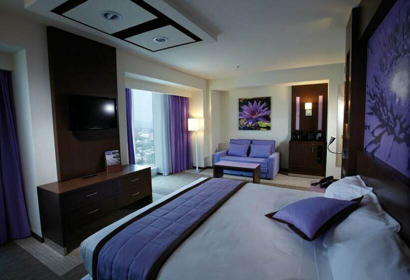 Chambre Executive, Riu Plaza Guadalajara