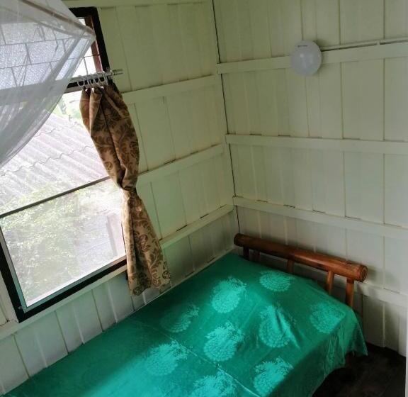 اتاق استاندارد یک تخته با سرویس بهداشتی مشترک, Orchid Guest House