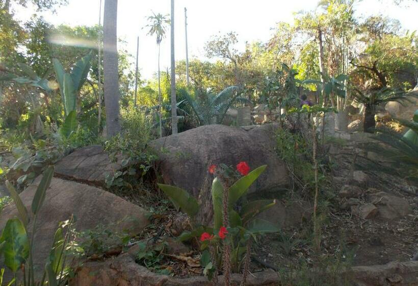 شقة غرفة نوم واحدة بالطابق الأرضى, Leopard Tree Retreat