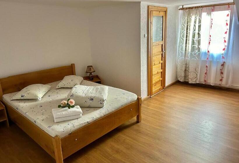 آپارتمان 1 خوابه, Pensiunea Casa Nina