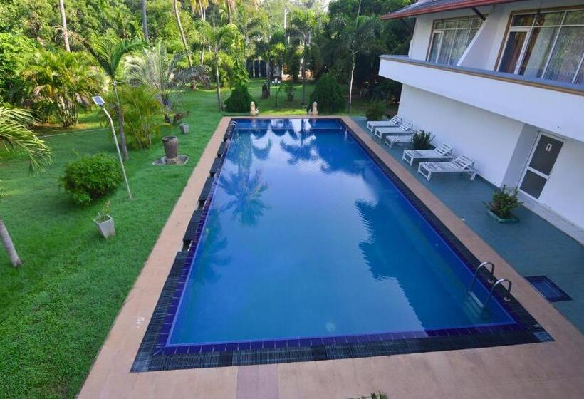 Трехместный Номер Deluxe, Siyanco Holiday Resort