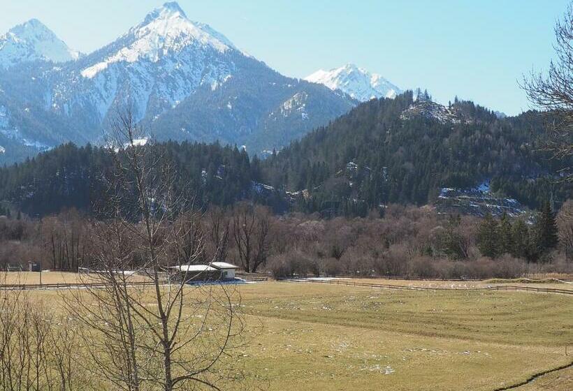 Апартаменты 2 Спальни, Haflingerhof Appenstein