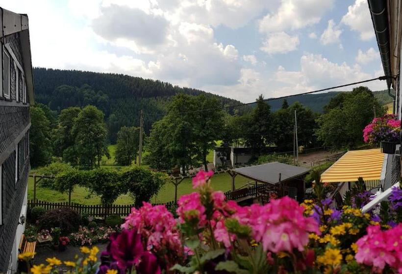 标准间, Pension Bergfrieden