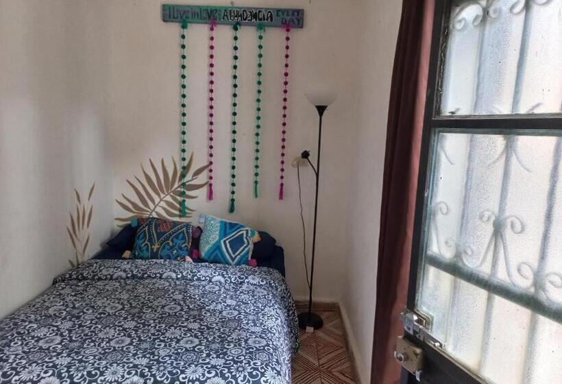 Standart Oda, Casa Apapacho Hostel