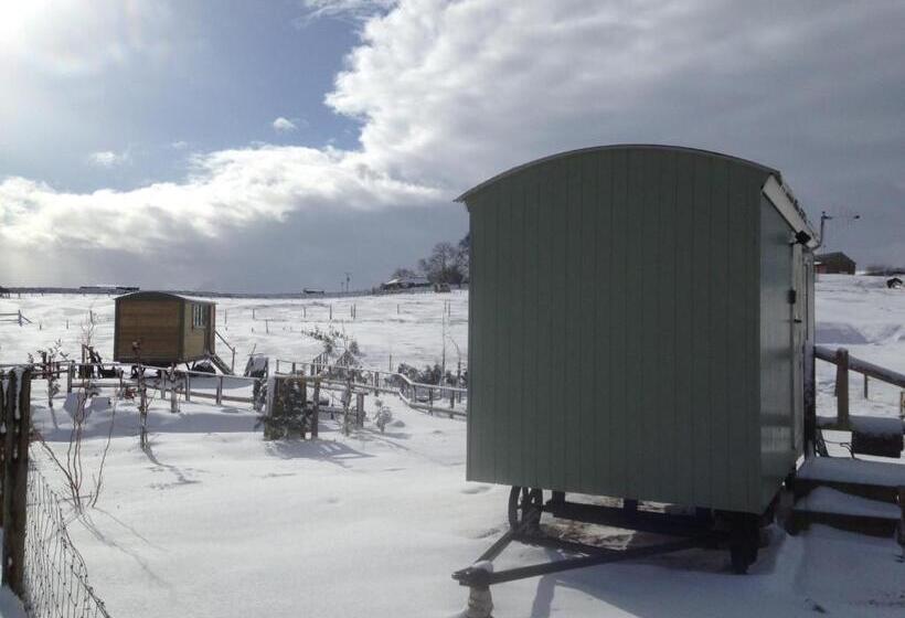 침실 1개 주택, The Buteland Stop Rosie Off Grid Shepherds Hut