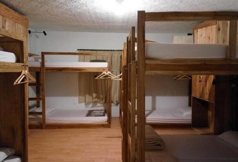 Кровать в Общей Комнате, Tani Jiwo Hostel