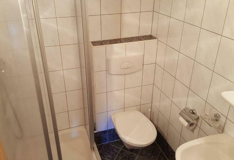 1 Schlafzimmer Apartment, Bio Berghof