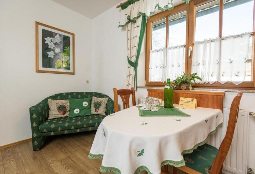 Апартаменты 1 Спальня Вид на Сад, Bauernhof Hoenigshof
