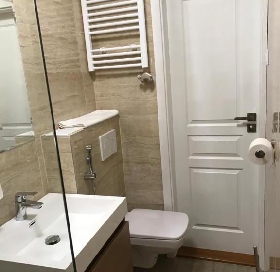 １ベッドルームのデラックスアパートメント, Centercity Apartments